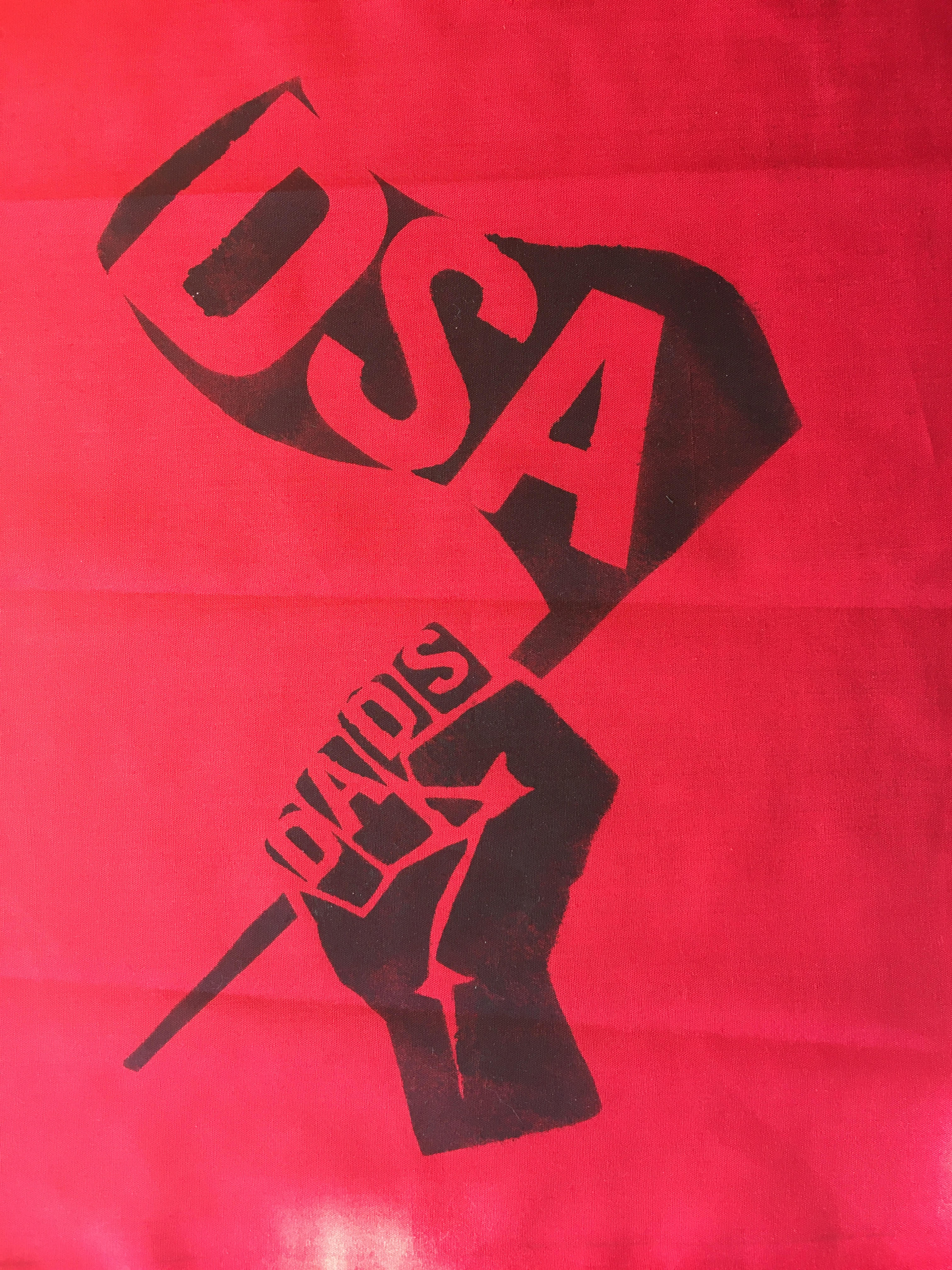 Protest in the Time of COVID:  A Brief Guide to Keeping Yourself and Your Comrades (Reasonably) Safe While Protesting Police Brutality During a Pandemic